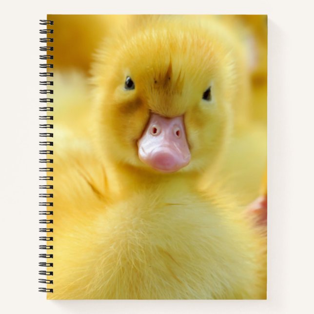 Cutest Baby Animals | Baby Duck Group Notebook (Front)