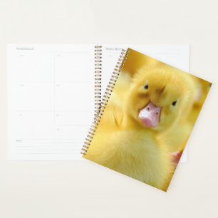 Cutest Baby Animals Baby Duck Group Planner