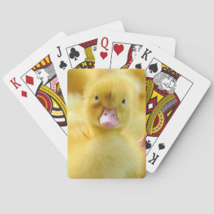 Cutest Baby Animals Baby Duck Group Playing Cards