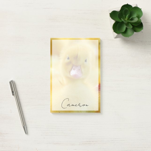 Cutest Baby Animals | Baby Duck Group Post-it Notes (Office)