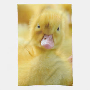Cutest Baby Animals Baby Duck Group Tea Towel