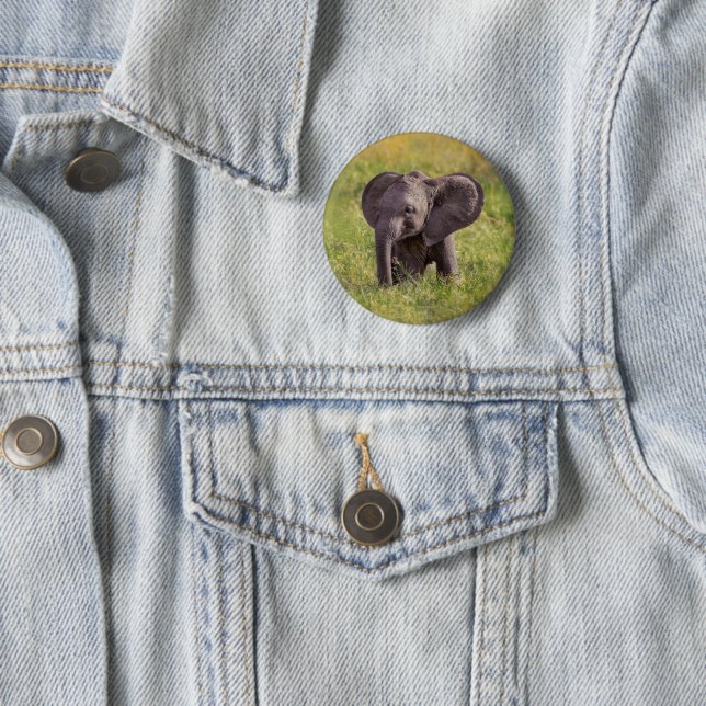 Cutest Baby Animals | Baby Elephant Kenya Africa 6 Cm Round Badge (In Situ)