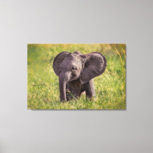 Cutest Baby Animals Baby Elephant Kenya Africa Canvas Print
