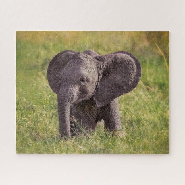 Cutest Baby Animals | Baby Elephant Kenya Africa Jigsaw Puzzle (Horizontal)