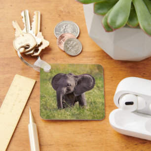 Cutest Baby Animals   Baby Elephant Kenya Africa Key Ring
