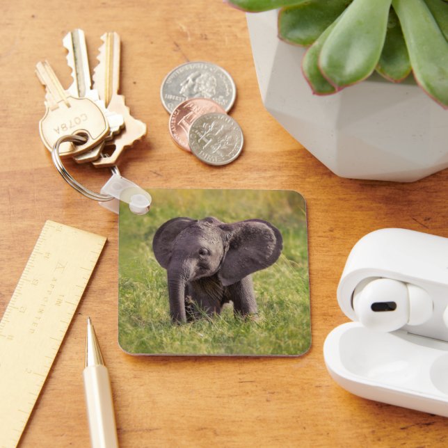 Cutest Baby Animals | Baby Elephant Kenya Africa Key Ring (Desk)