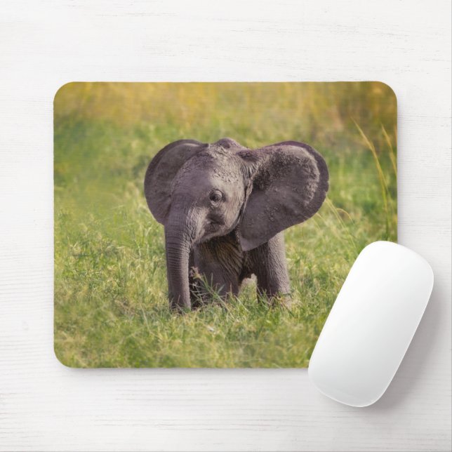Cutest Baby Animals | Baby Elephant Kenya Africa Mouse Mat (With Mouse)