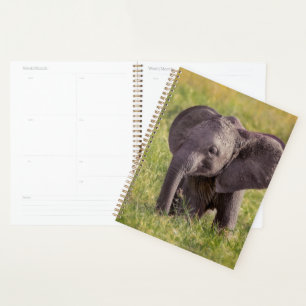 Cutest Baby Animals Baby Elephant Kenya Africa Planner