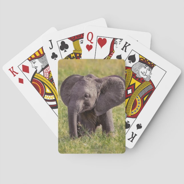 Cutest Baby Animals | Baby Elephant Kenya Africa Playing Cards (Back)