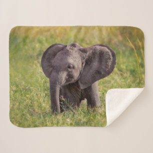 Cutest Baby Animals   Baby Elephant Kenya Africa Sherpa Blanket