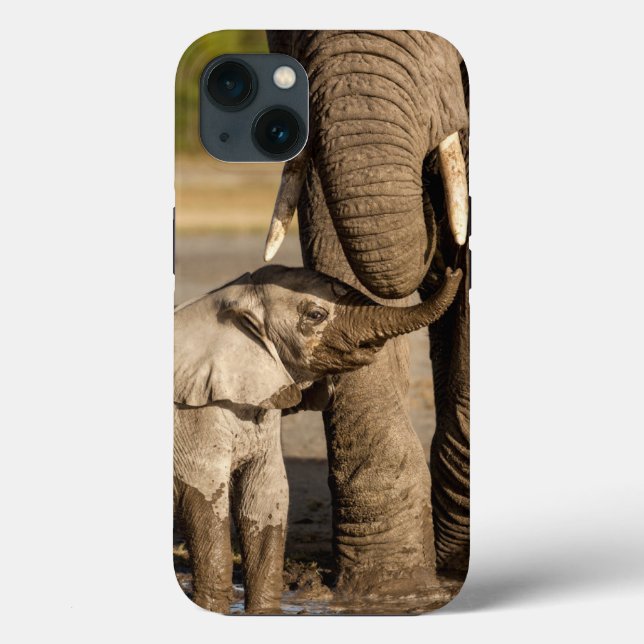 Cutest Baby Animals | Baby Elephant & Mama Case-Mate iPhone Case (Back)