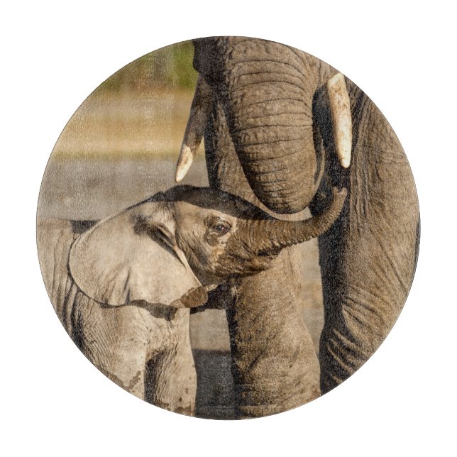 Cutest Baby Animals | Baby Elephant & Mama Cutting Board (Front)
