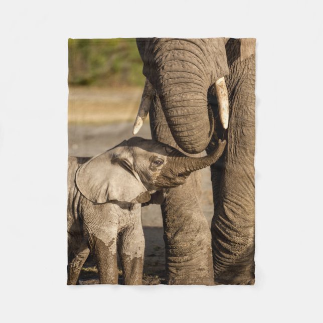 Cutest Baby Animals | Baby Elephant & Mama Fleece Blanket (Front)