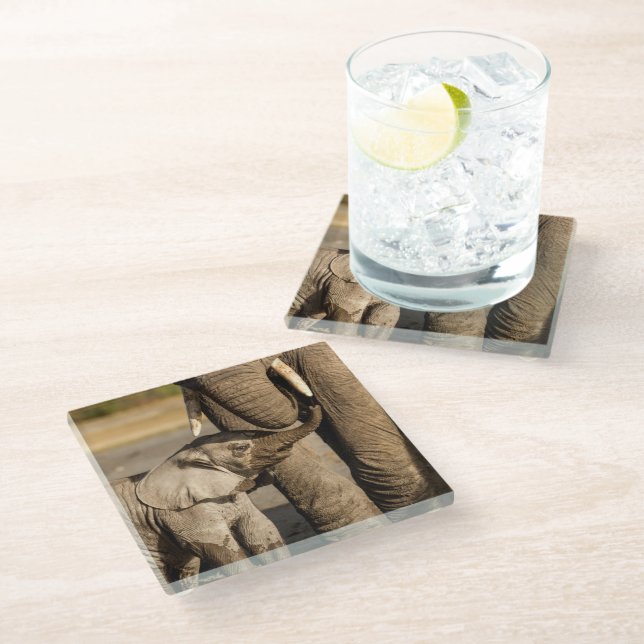 Cutest Baby Animals | Baby Elephant & Mama Glass Coaster (Angled)