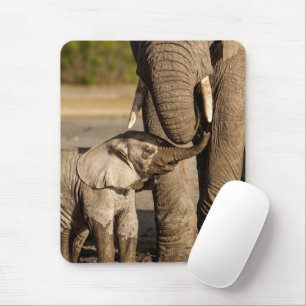 Cutest Baby Animals Baby Elephant & Mama Mouse Mat