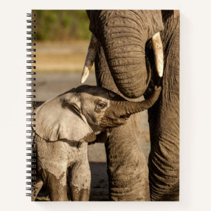 Cutest Baby Animals   Baby Elephant & Mama Notebook