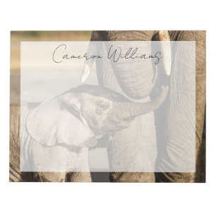 Cutest Baby Animals   Baby Elephant & Mama Notepad