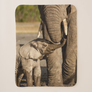 Cutest Baby Animals Baby Elephant & Mama Sherpa Blanket