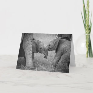 Cutest Baby Animals   Baby Elephants Greeting Card