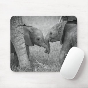 Cutest Baby Animals   Baby Elephants Greeting Mouse Mat