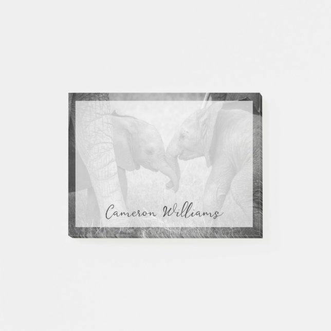 Cutest Baby Animals | Baby Elephants Greeting Post-it Notes (Front)