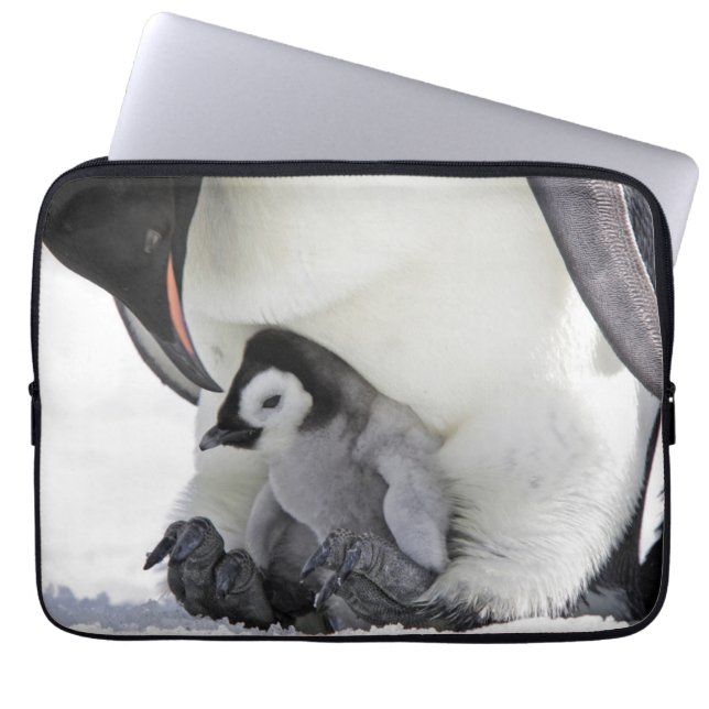 Cutest Baby Animals | Baby Emperor Penguin Laptop Sleeve (Front)