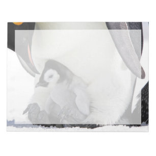 Cutest Baby Animals Baby Emperor Penguin Notepad