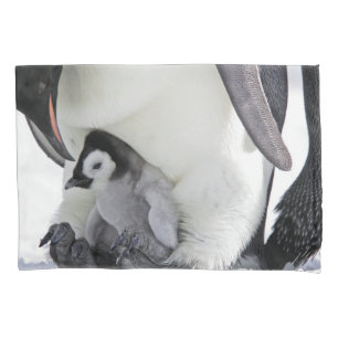 Cutest Baby Animals   Baby Emperor Penguin Pillowcase
