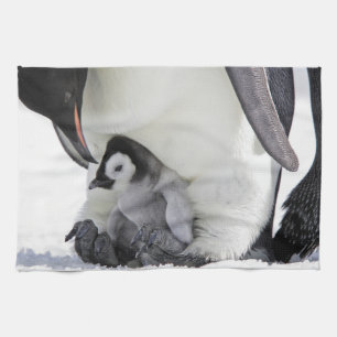 Cutest Baby Animals Baby Emperor Penguin Tea Towel