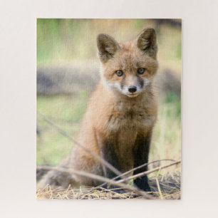 Cutest Baby Animals   Baby Fox Jigsaw Puzzle