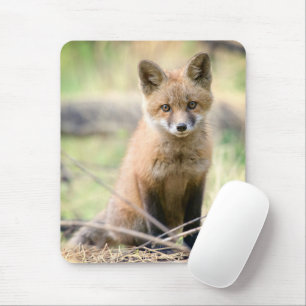 Cutest Baby Animals Baby Fox Mouse Mat