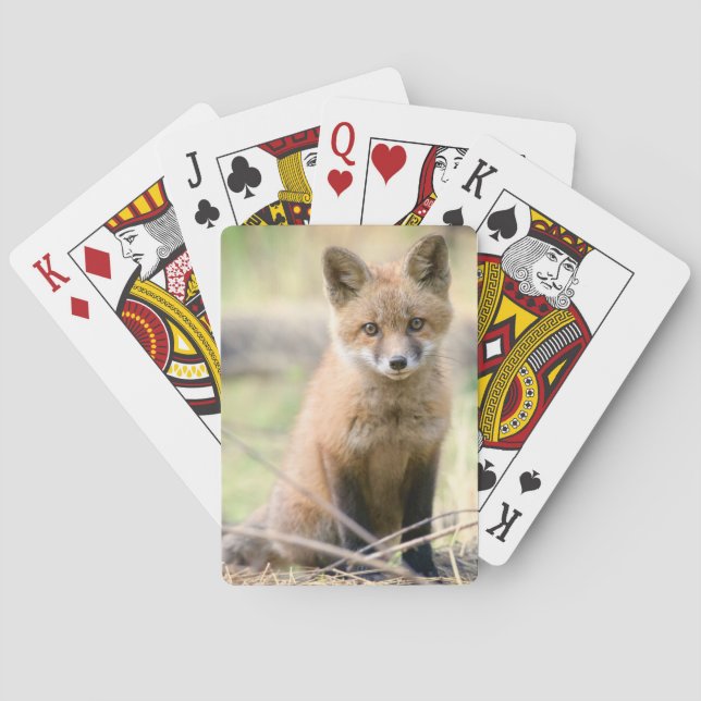 Cutest Baby Animals | Baby Fox Playing Cards (Back)
