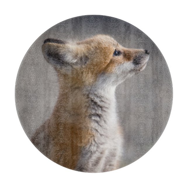 Cutest Baby Animals | Baby Fox Portrait Cutting Board (Front)