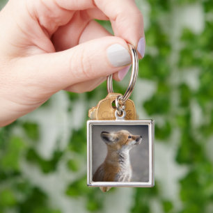 Cutest Baby Animals   Baby Fox Portrait Key Ring
