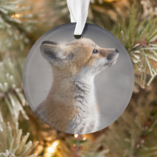 Cutest Baby Animals Baby Fox Portrait Ornament