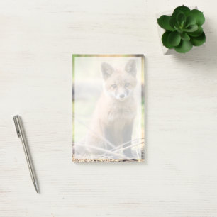 Cutest Baby Animals   Baby Fox Post-it Notes