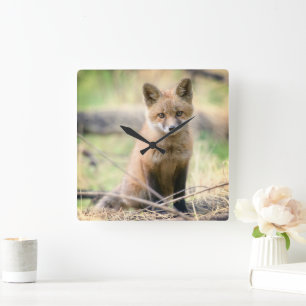 Cutest Baby Animals Baby Fox Square Wall Clock
