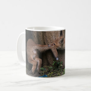 Cutest Baby Animals   Baby Foxes Playing Coffee Mug