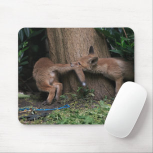 Cutest Baby Animals   Baby Foxes Playing Mouse Mat