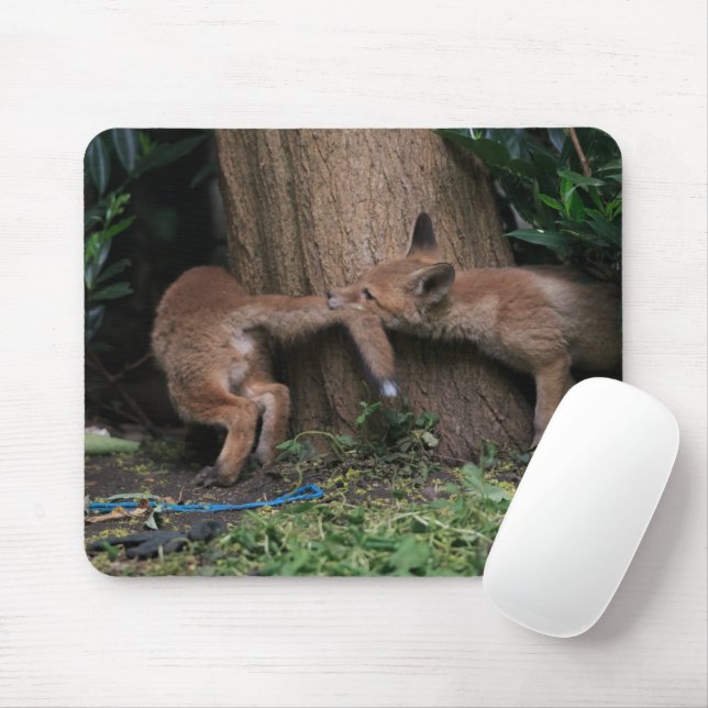 Cutest Baby Animals | Baby Foxes Playing Mouse Mat (With Mouse)