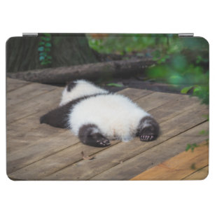 Cutest Baby Animals   Baby Giant Panda Sleeping iPad Air Cover