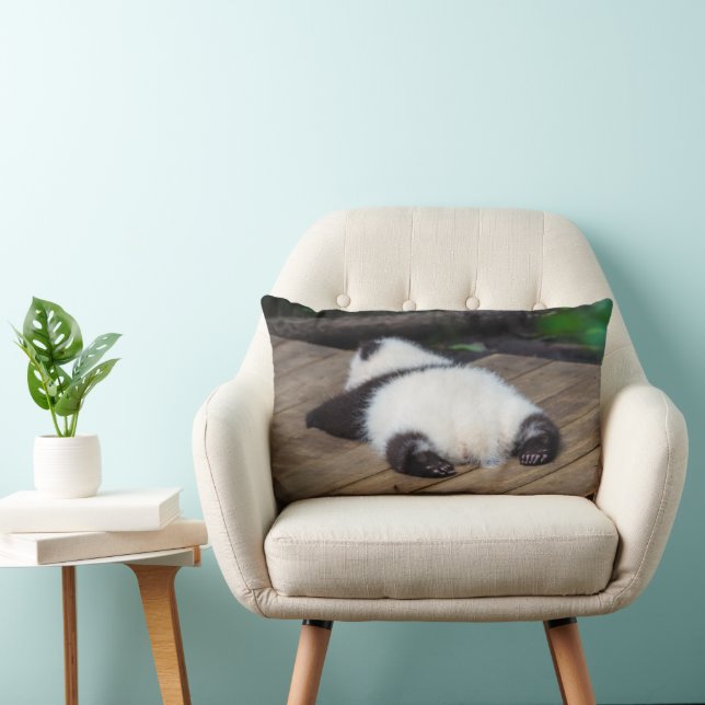 Cutest Baby Animals | Baby Giant Panda Sleeping Lumbar Cushion (Chair)