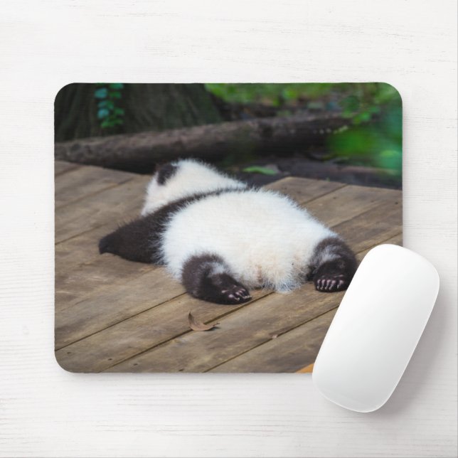 Cutest Baby Animals | Baby Giant Panda Sleeping Mouse Mat (With Mouse)