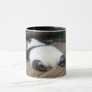 Cutest Baby Animals   Baby Giant Panda Sleeping Mug