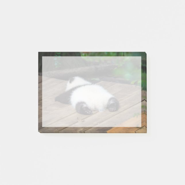 Cutest Baby Animals | Baby Giant Panda Sleeping Post-it Notes (Front)