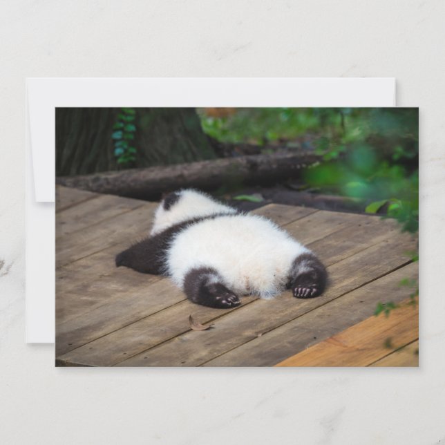 Cutest Baby Animals | Baby Giant Panda Sleeping Thank You Card (Front)