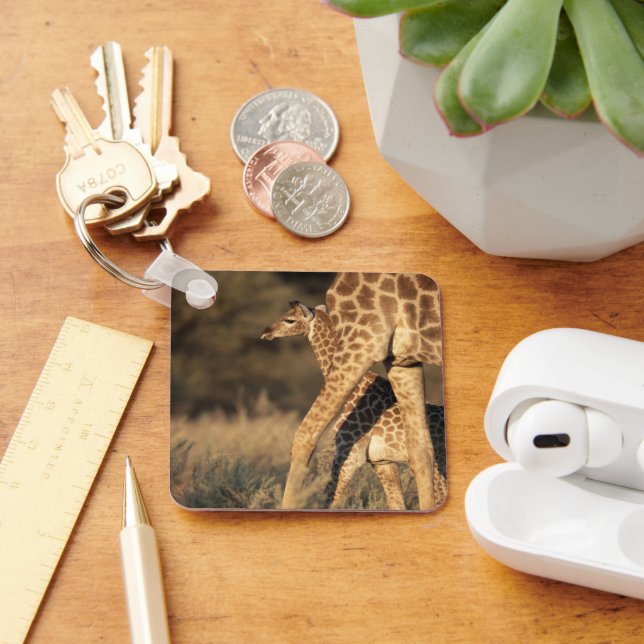 Cutest Baby Animals | Baby Giraffe & Parent Key Ring (Desk)