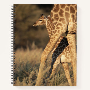 Cutest Baby Animals Baby Giraffe & Parent Notebook