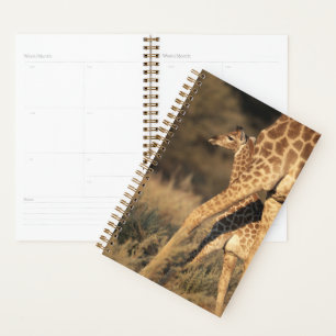 Cutest Baby Animals Baby Giraffe & Parent Planner