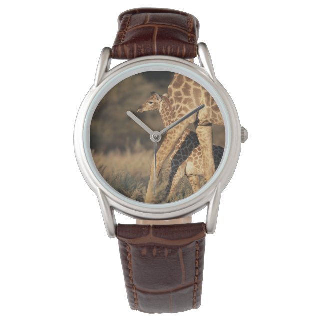 Cutest Baby Animals | Baby Giraffe & Parent Watch (Front)